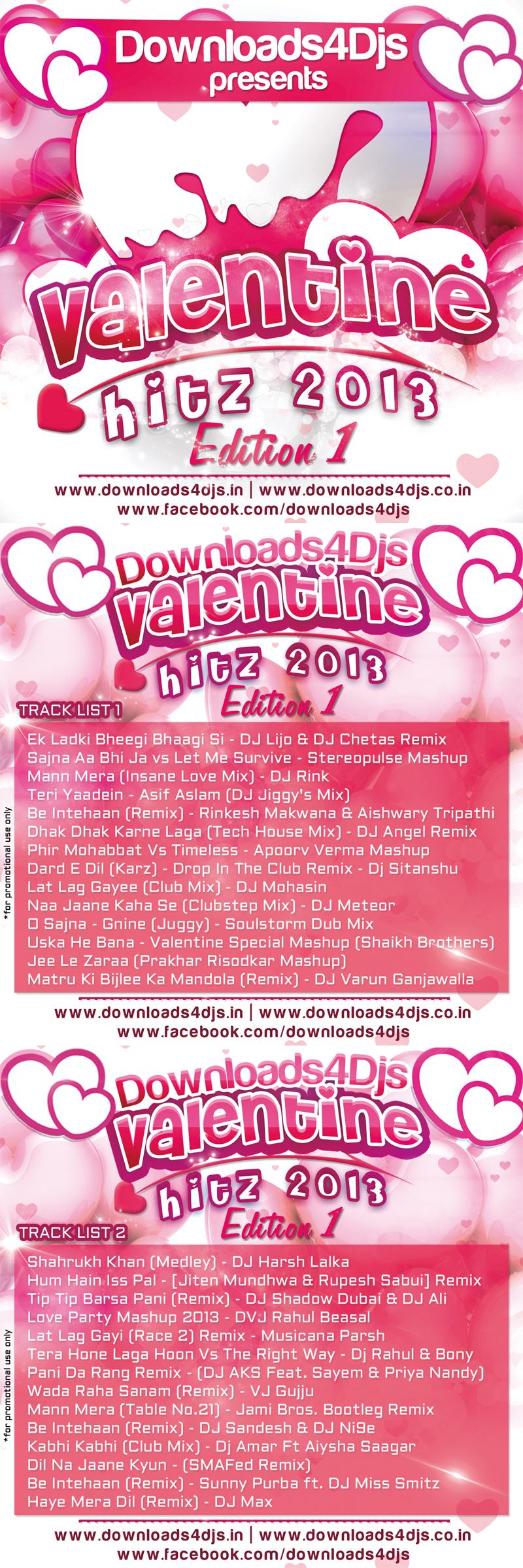 Valentine Hitz 2013 Web Flyer