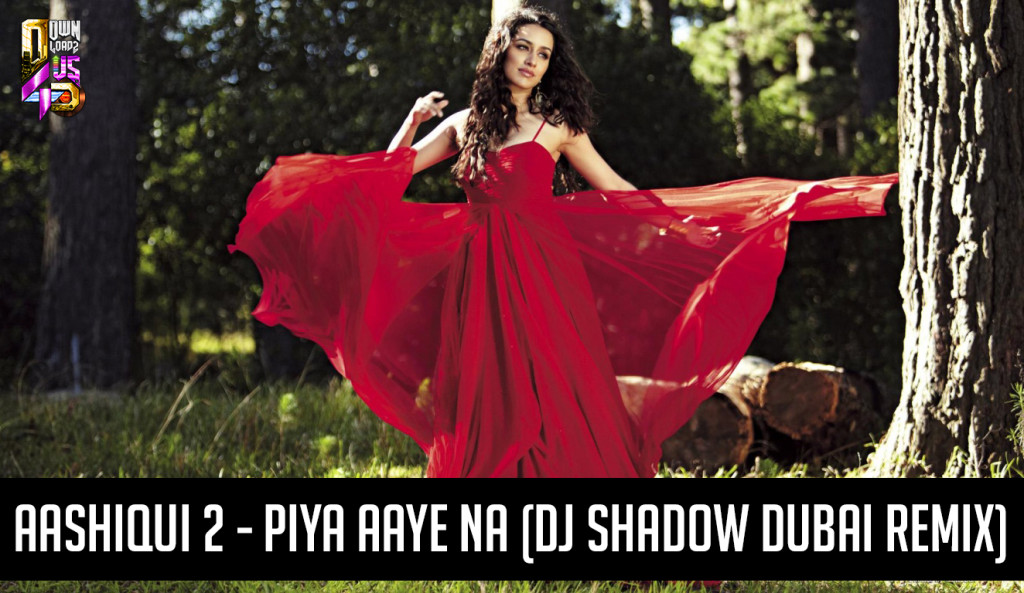 Aashiqui 2 - Piya Aaye Na - DJ Shadow