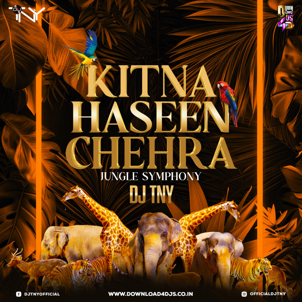 Kitna Haseen Chehra (Remix) - DJ TNY