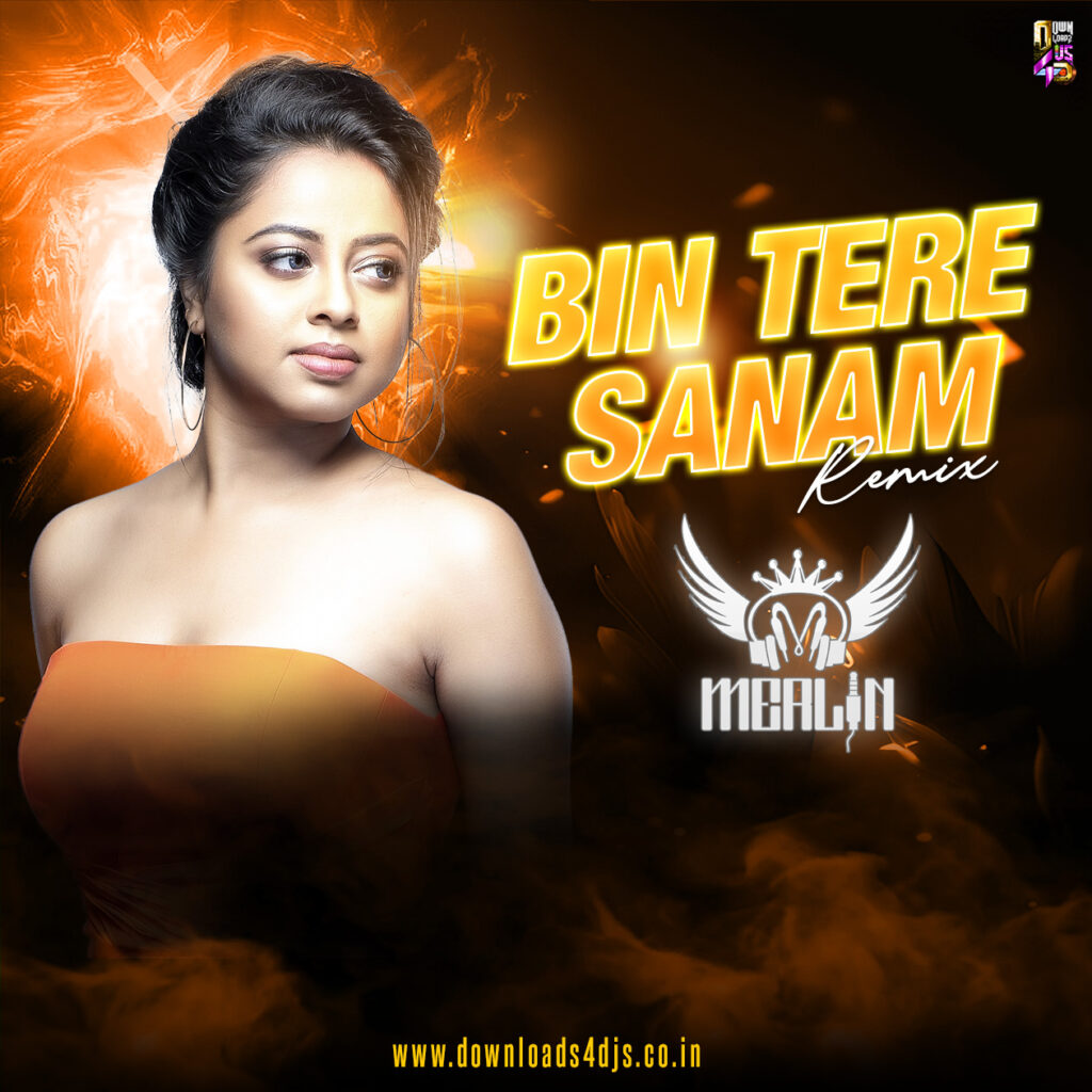 Bin Tere Sanam - Remix - DJ Merlin